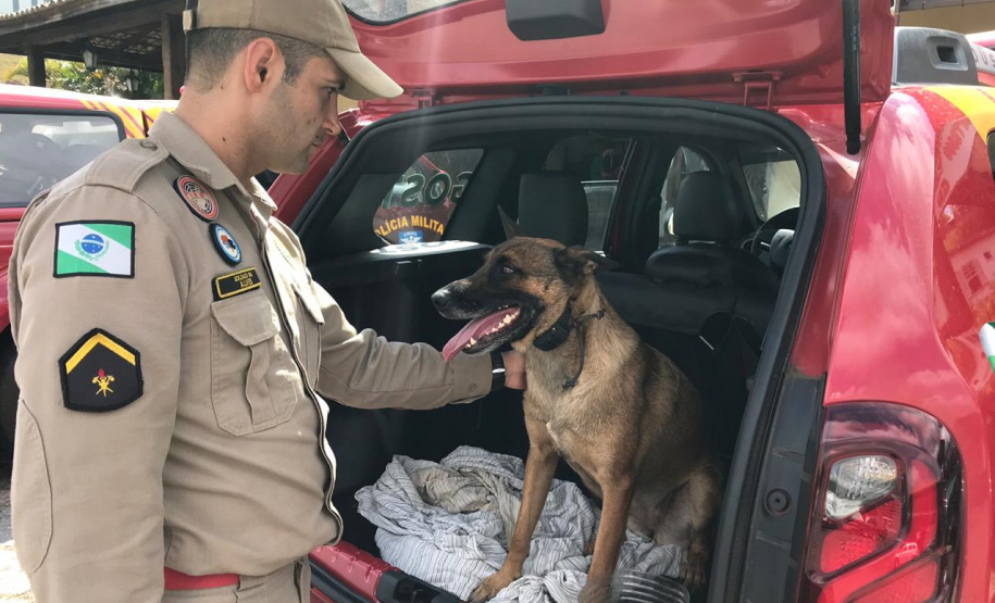 A cadela Brida, juntamente com seu condutor o soldado bombeiro João Carlos Alves, além de outros sete bombeiros militares, especializados em Busca e Salvamento, foram enviados nesta segunda-feira (11/02) para Brumadinho. O objetivo é auxiliar as equipes de buscas, principalmente nos ambientes que demandam cão de faro. Foto:Divulgação PMPR