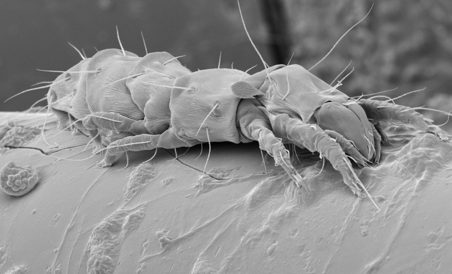 A equipe do Educativo do Museu Oscar Niemeyer (MON) sempre prepara uma agenda especial para visitantes na quarta-feira, dia da tradicional entrada gratuita para todos. Nesta semana, a programação conta com uma oficina e com uma visita mediada que, como novidade, terá a presença de um intérprete de libras.  -  Foto: Divulgação MON