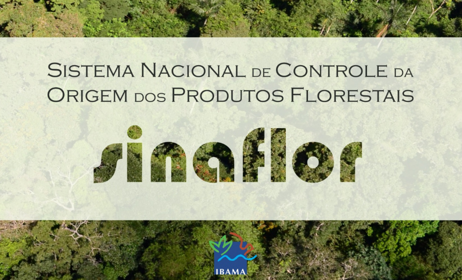 Novo evento Sinaflor será promovido pelo IAP e Ibama