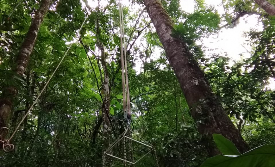 Duas equipes de entomologistas da Secretaria de Estado da Saúde estão coletando mosquitos em áreas de mata e periurbanas (nas periferias de cidades) de todo o Litoral do Paraná, incluindo a região onde foram encontrados os macacos mortos pela febre amarela, em Antonina. -  Curitiba, 13/02/2019  -  Foto: Divulgação SESA