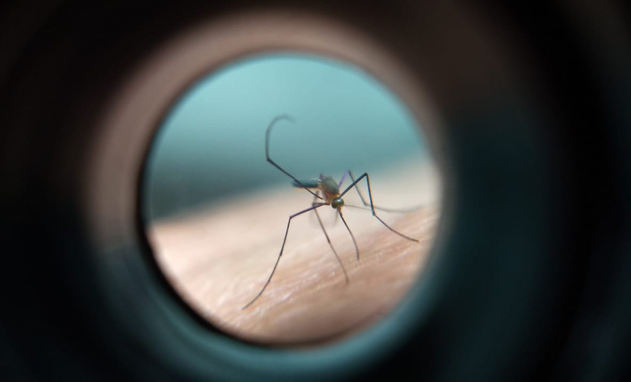 cretaria de Estado da Saúde confirmou nesta quinta-feira (14) o quarto caso de febre amarela no Estado. A pessoa infectada é de Campina Grande do Sul, na Região Metropolitana de Curitiba, mas o local de infecção ainda está sob investigação.  -  Curitiba, 14/02/2019  -  Foto: Divulgação SESA