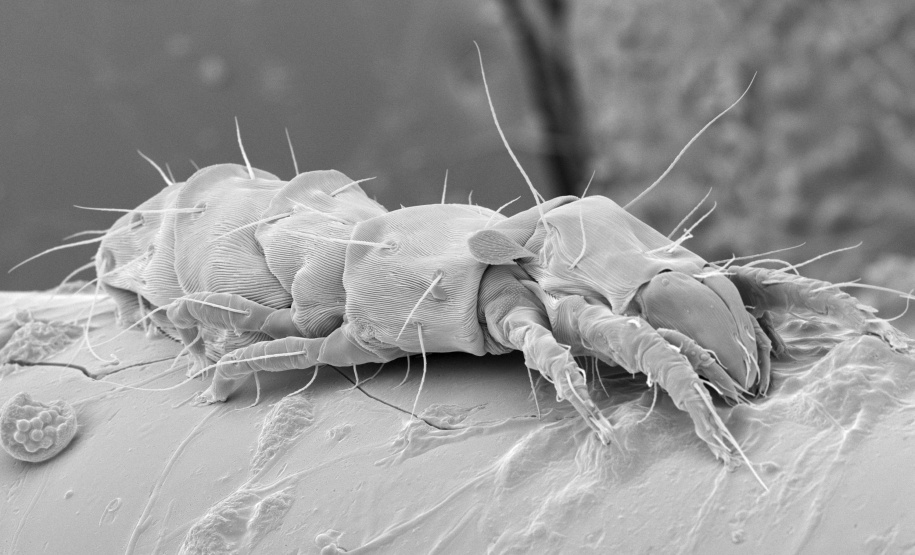 O Museu Oscar Niemeyer preparou uma oficina e programou uma visita mediada para quem for ao MON nesta semana aproveitar a quarta-feira gratuita (20).  -  Curitiba, 19/02/2019  -  Foto: Divulgação MON