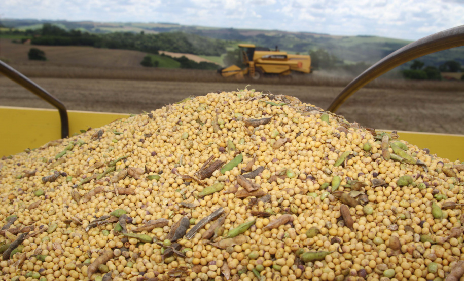 O Paraná irá colher na safra de grãos de verão 2018/19 um volume de 19,9 milhões de toneladas, 12% menor que a safra anterior que rendeu um volume de 22,7 milhões de toneladas. Apesar da perda, os preços dos principais produtos permanecem bons para os produtores.Foto Jonas Oliveira/ ArquivoANPr