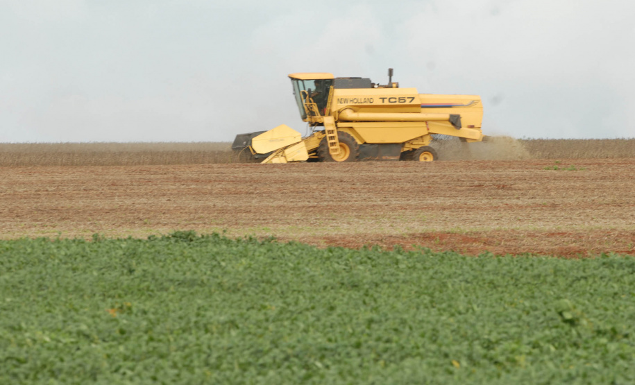 O Paraná irá colher na safra de grãos de verão 2018/19 um volume de 19,9 milhões de toneladas, 12% menor que a safra anterior que rendeu um volume de 22,7 milhões de toneladas. Apesar da perda, os preços dos principais produtos permanecem bons para os produtores. Foto Jonas Oliveira/ ArquivoANPr