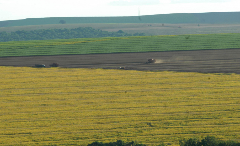 O Paraná irá colher na safra de grãos de verão 2018/19 um volume de 19,9 milhões de toneladas, 12% menor que a safra anterior que rendeu um volume de 22,7 milhões de toneladas. Apesar da perda, os preços dos principais produtos permanecem bons para os produtores.Foto Jonas Oliveira/ ArquivoANPr