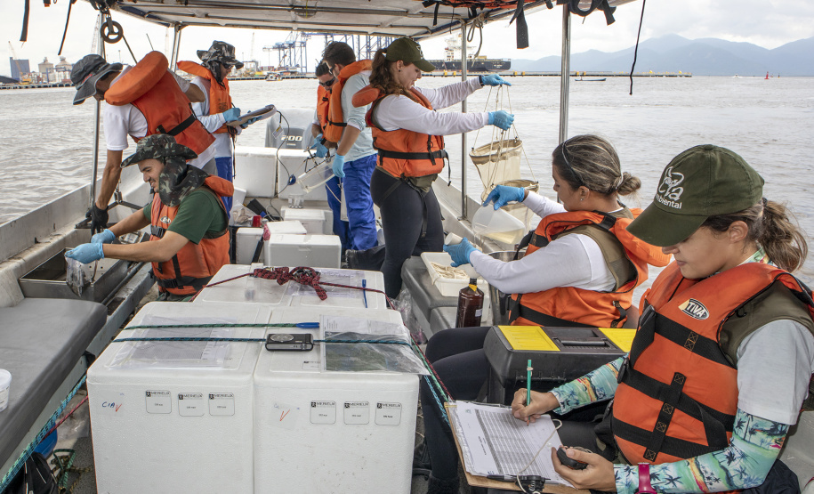 A equipe de Meio Ambiente dos Portos do Paraná foi a campo para mais uma campanha de monitoramento trimestral. A coleta de dados foi simultânea para três programas ambientais: da qualidade das águas, do sedimento e da biota aquática (plâncton e bentos). Foto: Claudio Neves/APPA