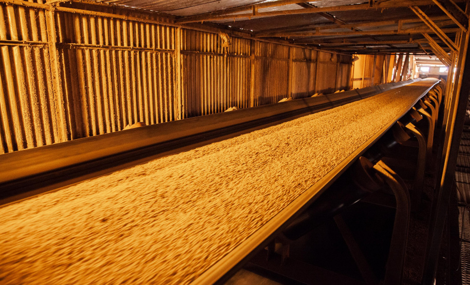 Os Portos do Paraná se preparam para um ritmo mais intenso no escoamento dos grãos destinados para exportação, com a chegada da safra 2018/19, que vem do interior do Estado e dos estados do Sudeste e Centro-Oeste do país.  -  Paranaguá, 27/02/2019   - Foto: Carlos Neves/APPA