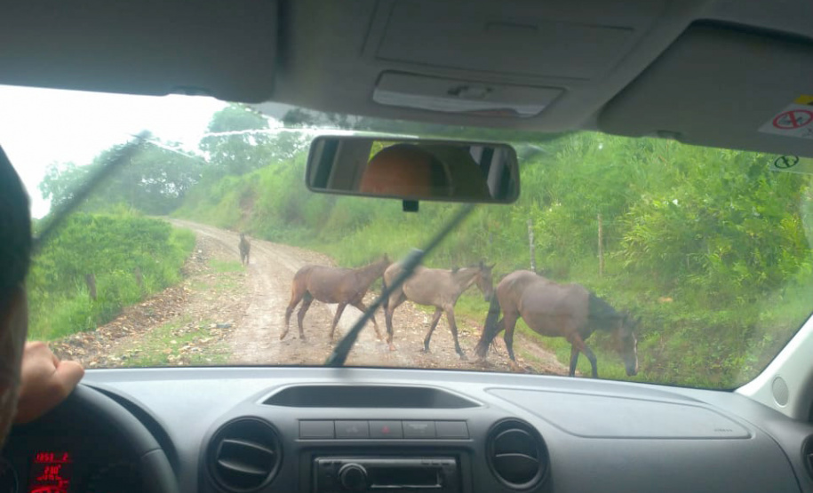 Equipe da secretaria da Saúde percorre as áreas mais remotas do município de Adrianópolis em busca de pessoas não vacinadas contra a febre amarela. Adrianópolis, 28/02/2019 - Foto: Divulgação SESA