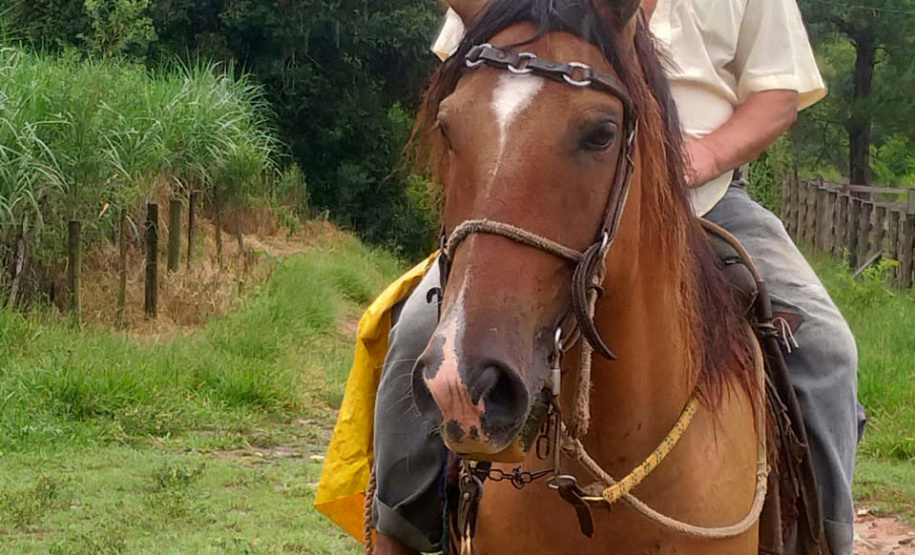 Equipe da secretaria da Saúde percorre as áreas mais remotas do município de Adrianópolis em busca de pessoas não vacinadas contra a febre amarela. Adrianópolis, 28/02/2019 - Foto: Divulgação SESA