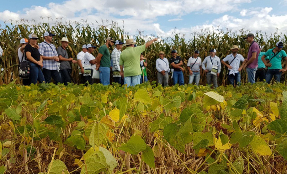 Ao menos 1.600 produtores, além de estudantes de colégios agrícolas e universidades, estão sendo esperados na 20ª Semana de Campo sobre Feijão e Milho, de 12 a 15 de março, em Ponta Grossa. Foto: Divulgação/SEAB