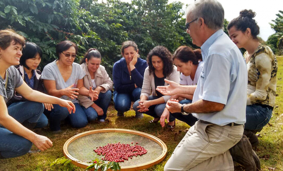 O Café do Norte Pioneiro foi o primeiro produto a obter o registro de Indicação Geográfica (IG) junto ao Instituto Nacional de Propriedade Industrial (INPI).  -  Foto:  Emater de Carlópolis
