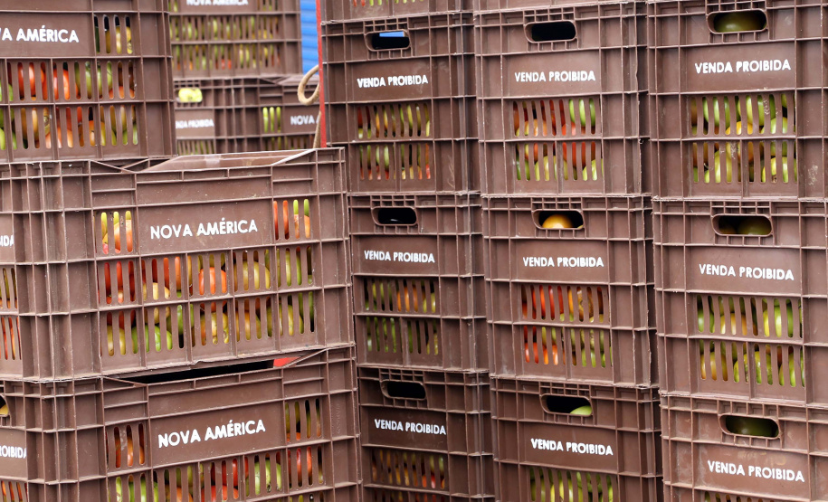 Por meio do Banco de Alimentos da Ceasa, hortigranjeiros são reaproveitados anualmente, evitando o desperdício e garantindo a segurança alimentar de cerca de 194 mil pessoas.Foto: Gilson Abreu/ANPr