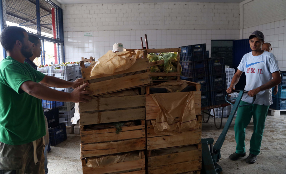 Por meio do Banco de Alimentos da Ceasa, hortigranjeiros são reaproveitados anualmente, evitando o desperdício e garantindo a segurança alimentar de cerca de 194 mil pessoas.Foto: Gilson Abreu/ANPr