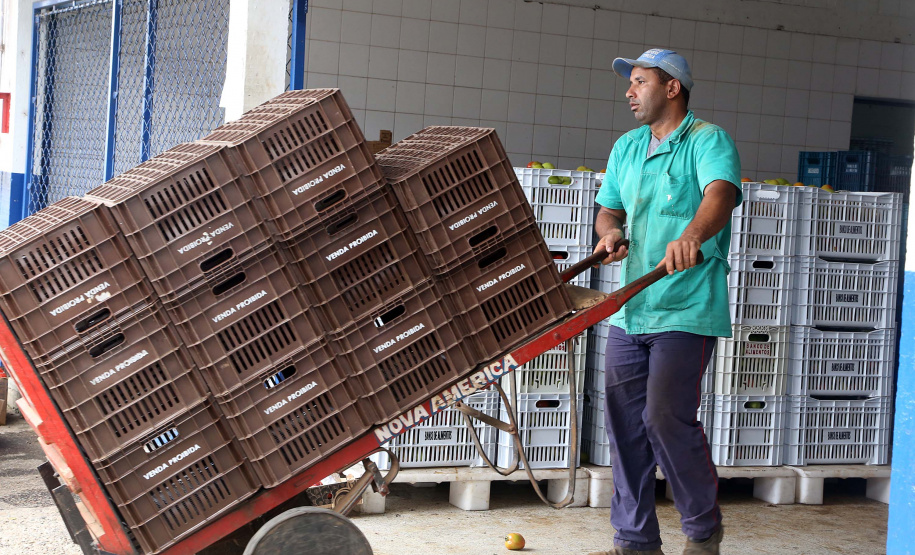 Por meio do Banco de Alimentos da Ceasa, hortigranjeiros são reaproveitados anualmente, evitando o desperdício e garantindo a segurança alimentar de cerca de 194 mil pessoas.Foto: Gilson Abreu/ANPr