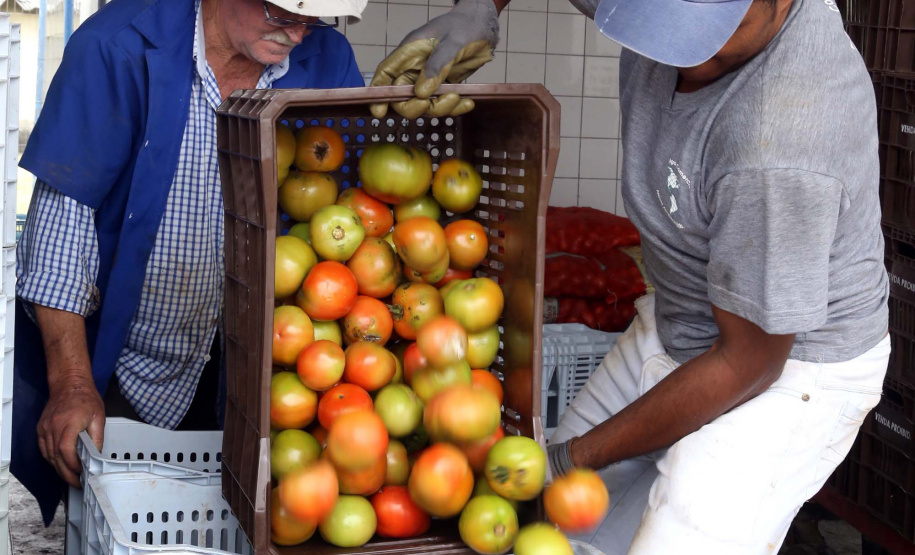 Por meio do Banco de Alimentos da Ceasa, hortigranjeiros são reaproveitados anualmente, evitando o desperdício e garantindo a segurança alimentar de cerca de 194 mil pessoas.Foto: Gilson Abreu/ANPr