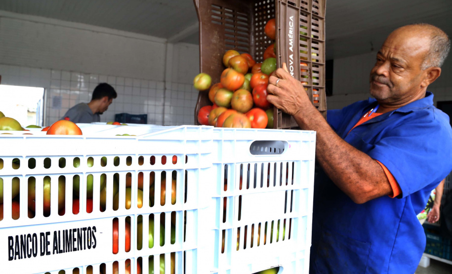 Por meio do Banco de Alimentos da Ceasa, hortigranjeiros são reaproveitados anualmente, evitando o desperdício e garantindo a segurança alimentar de cerca de 194 mil pessoas.Foto: Gilson Abreu/ANPr