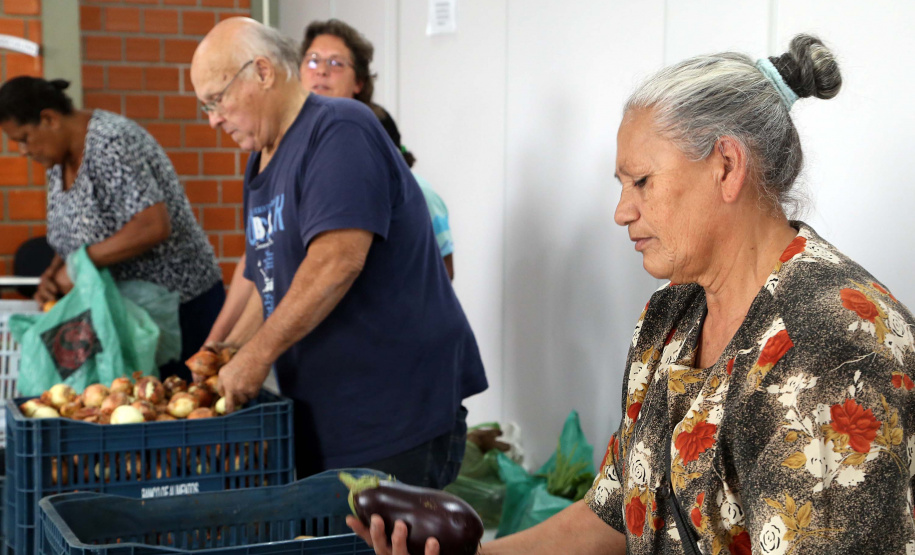 Por meio do Banco de Alimentos da Ceasa, hortigranjeiros são reaproveitados anualmente, evitando o desperdício e garantindo a segurança alimentar de cerca de 194 mil pessoas.Foto: Gilson Abreu/ANPr