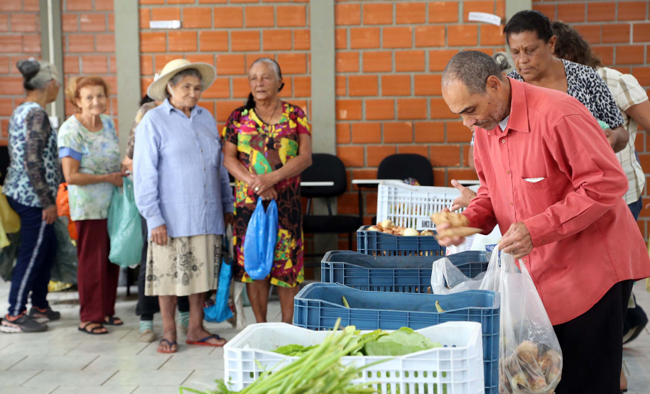 Por meio do Banco de Alimentos da Ceasa, hortigranjeiros são reaproveitados anualmente, evitando o desperdício e garantindo a segurança alimentar de cerca de 194 mil pessoas.Foto: Gilson Abreu/ANPr
