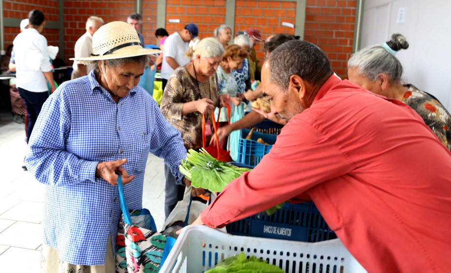 Por meio do Banco de Alimentos da Ceasa, hortigranjeiros são reaproveitados anualmente, evitando o desperdício e garantindo a segurança alimentar de cerca de 194 mil pessoas.Foto: Gilson Abreu/ANPr