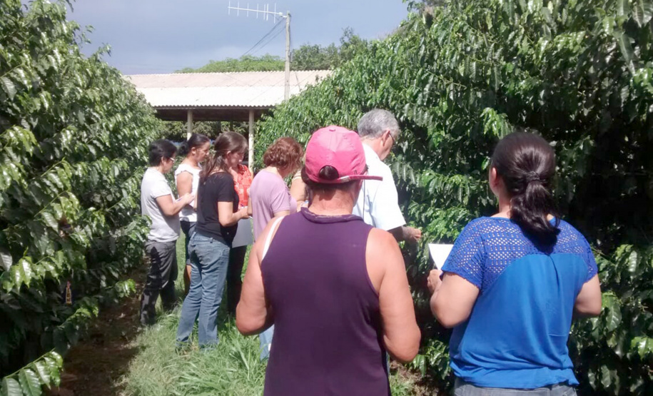 Reunião com grupo de Carlópolis - manejo de pragas e doenças. - Foto: Emater