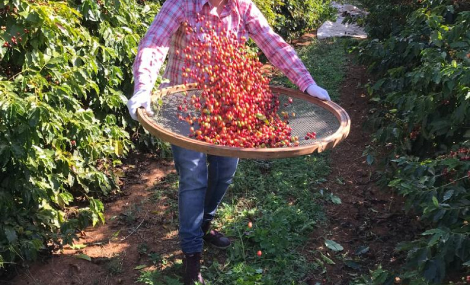 Rosana de Azevedo Felet, cafeicultora e coordenadora do projeto Mulheres do Café de Carlópolis -Foto: Divulgação