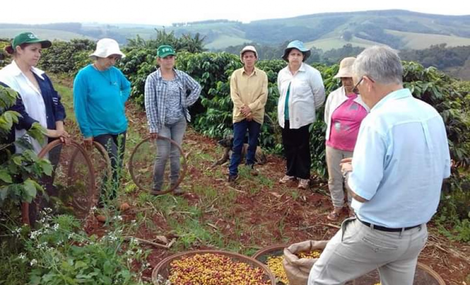 Cafeicultoras de Carlópolis e Tomazina, no Norte Pioneiro do Paraná, estão exportando o café especial que produzem na região. A venda das 460 primeiras sacas do produto ao Japão e à Austrália, nos últimos dois anos, representou aumento na renda das famílias e também mais um passo do projeto Mulheres do Café, implantado pelo Instituto Paranaense de Assistência Técnica e Extensão Rural (Emater) na região. Foto: Divulgação