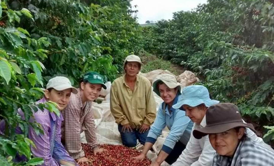 Cafeicultoras de Carlópolis e Tomazina, no Norte Pioneiro do Paraná, estão exportando o café especial que produzem na região. A venda das 460 primeiras sacas do produto ao Japão e à Austrália, nos últimos dois anos, representou aumento na renda das famílias e também mais um passo do projeto Mulheres do Café, implantado pelo Instituto Paranaense de Assistência Técnica e Extensão Rural (Emater) na região. Foto: Divulgação