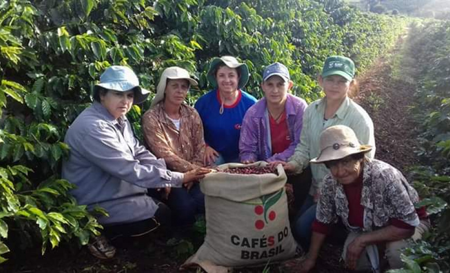Cafeicultoras de Carlópolis e Tomazina, no Norte Pioneiro do Paraná, estão exportando o café especial que produzem na região. A venda das 460 primeiras sacas do produto ao Japão e à Austrália, nos últimos dois anos, representou aumento na renda das famílias e também mais um passo do projeto Mulheres do Café, implantado pelo Instituto Paranaense de Assistência Técnica e Extensão Rural (Emater) na região. Foto: Divulgação