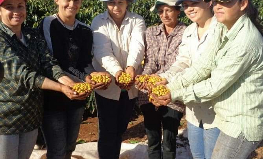 Cafeicultoras de Carlópolis e Tomazina, no Norte Pioneiro do Paraná, estão exportando o café especial que produzem na região. A venda das 460 primeiras sacas do produto ao Japão e à Austrália, nos últimos dois anos, representou aumento na renda das famílias e também mais um passo do projeto Mulheres do Café, implantado pelo Instituto Paranaense de Assistência Técnica e Extensão Rural (Emater) na região. Foto: Divulgação