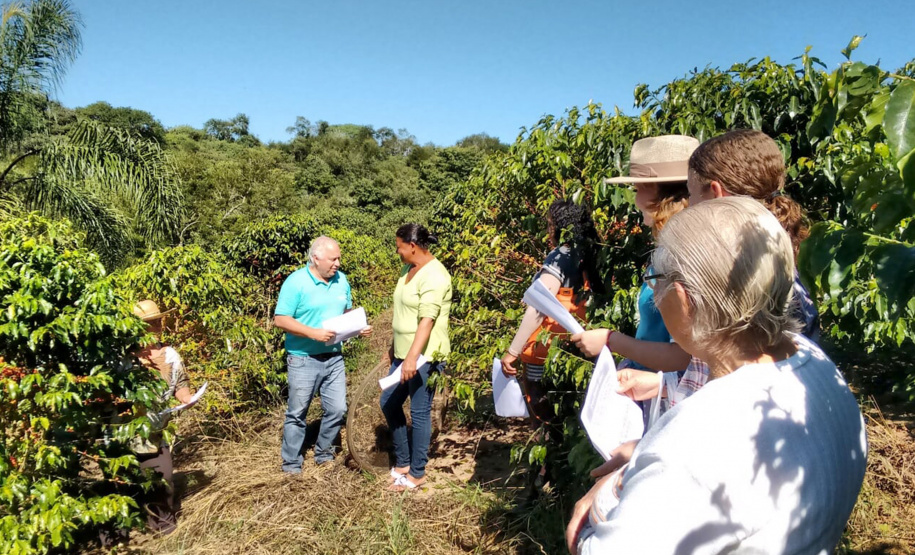 Reunião p´ratica de colheita no município de Ibaiti - Foto: Emater