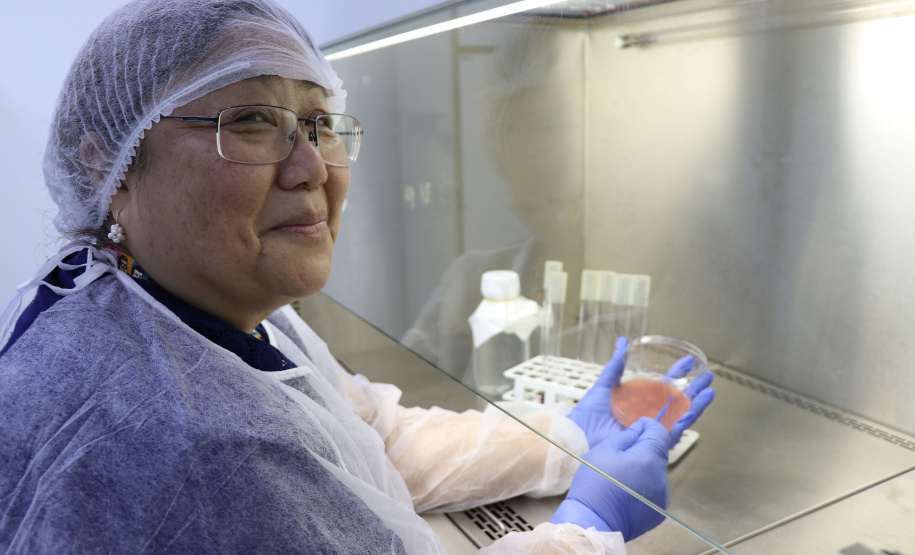 Entre as homenageadas está a farmacêutica Carmen Etsuko Kataola Higaskino, colaboradora do Centro de Tecnologia em Saúde e Meio Ambiente. Atua no Tecpar há 37 anos.   -  Curitiba, 08/03/2019  -  Foto: Divulgação Tecpar