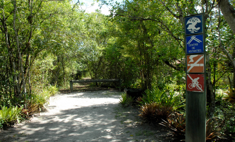 Parque Estadual Rio da Onças,Matinhos, 12-01-2012.Foto: Arnaldo Alves /ANPr