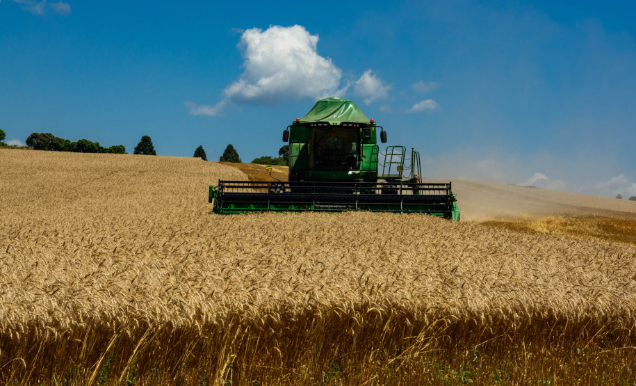 A Secretaria de Estado da Agricultura e Abastecimento enviou documento ao Ministério da Agricultura, Pecuária e Abastecimento que propõe aumento na concessão de crédito para o agronegócio, redução nas taxas de juros para as principais linhas de financiamento do agronegócio brasileiro e o cumprimento integral de todas as deliberações contidas no plano anual. O Plano Agrícola e Pecuário para a safra 2019-2020 inicia no mês de junho.  -  Curitiba, 11/03/2019  -  Foto: Antonio Costa/Arquivo ANPr