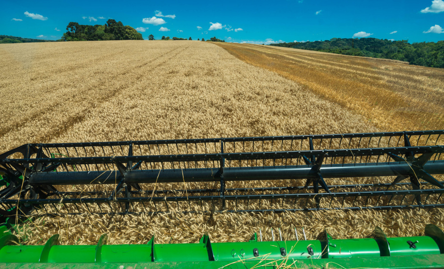 A Secretaria de Estado da Agricultura e Abastecimento enviou documento ao Ministério da Agricultura, Pecuária e Abastecimento que propõe aumento na concessão de crédito para o agronegócio, redução nas taxas de juros para as principais linhas de financiamento do agronegócio brasileiro e o cumprimento integral de todas as deliberações contidas no plano anual. O Plano Agrícola e Pecuário para a safra 2019-2020 inicia no mês de junho.  -  Curitiba, 11/03/2019  -  Foto: Antonio Costa/Arquivo ANPr