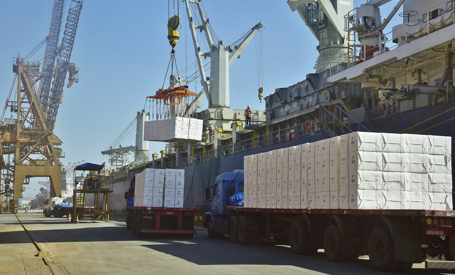 Com alta de 67,9% nas vendas para outros países no primeiro bimestre de 2019, a celulose assumiu o inédito terceiro lugar na pauta de exportações do Paraná. Conforme dados do Ministério da Economia, tabulados pelo Instituto Paranaense de Desenvolvimento Econômico e Social (Ipardes), foram negociados US$ 177,7 milhões do produto nos dois primeiros meses do ano, contra US$ 105,8 milhões em igual período de 2018 - quando era o quinto mais exportado pelo Estado. -  Foto: Ivan Bueno/Arquivo APPA