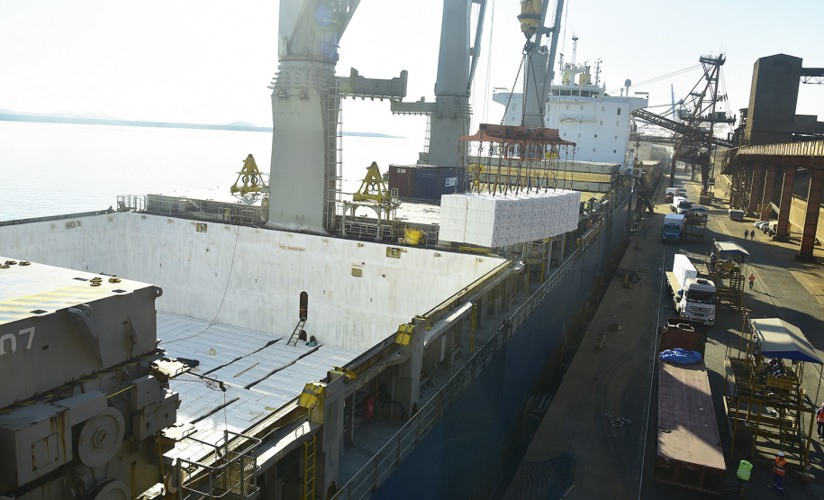 Com alta de 67,9% nas vendas para outros países no primeiro bimestre de 2019, a celulose assumiu o inédito terceiro lugar na pauta de exportações do Paraná. Conforme dados do Ministério da Economia, tabulados pelo Instituto Paranaense de Desenvolvimento Econômico e Social (Ipardes), foram negociados US$ 177,7 milhões do produto nos dois primeiros meses do ano, contra US$ 105,8 milhões em igual período de 2018 - quando era o quinto mais exportado pelo Estado. -  Foto: Ivan Bueno/Arquivo APPA