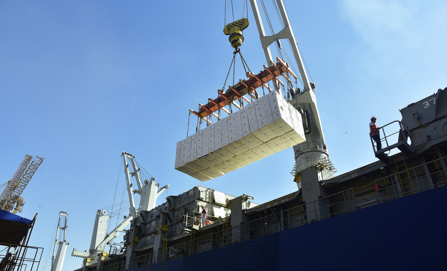 Com alta de 67,9% nas vendas para outros países no primeiro bimestre de 2019, a celulose assumiu o inédito terceiro lugar na pauta de exportações do Paraná. Conforme dados do Ministério da Economia, tabulados pelo Instituto Paranaense de Desenvolvimento Econômico e Social (Ipardes), foram negociados US$ 177,7 milhões do produto nos dois primeiros meses do ano, contra US$ 105,8 milhões em igual período de 2018 - quando era o quinto mais exportado pelo Estado. -  Foto: Ivan Bueno/Arquivo APPA