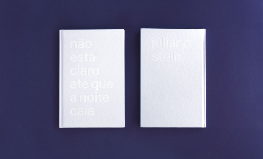 Dois projetos selecionados no primeiro e segundo editais do Programa Estadual de Fomento e Incentivo à Cultura (Profice) foram premiados essa semana. O livro Não está claro até que a noite caia, da artista Juliana Stein, ganhou o prêmio Bronze de Design no Latin American Design Awards.Foto: Kraw Penas/SEEC