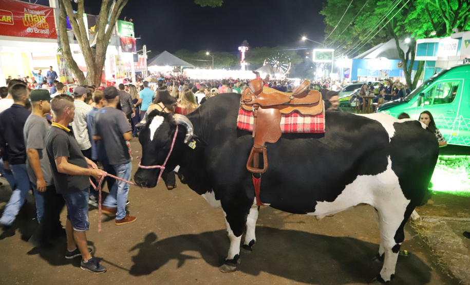 Governador Carlos Massa Ratinho Junior visita a Expo Umuarama e anuncia recursos para investimentos em infraestrutura e melhoria urbana no município. - Umuarama, 15/03/2019 - Foto: José Fernando Ogura/ANPr