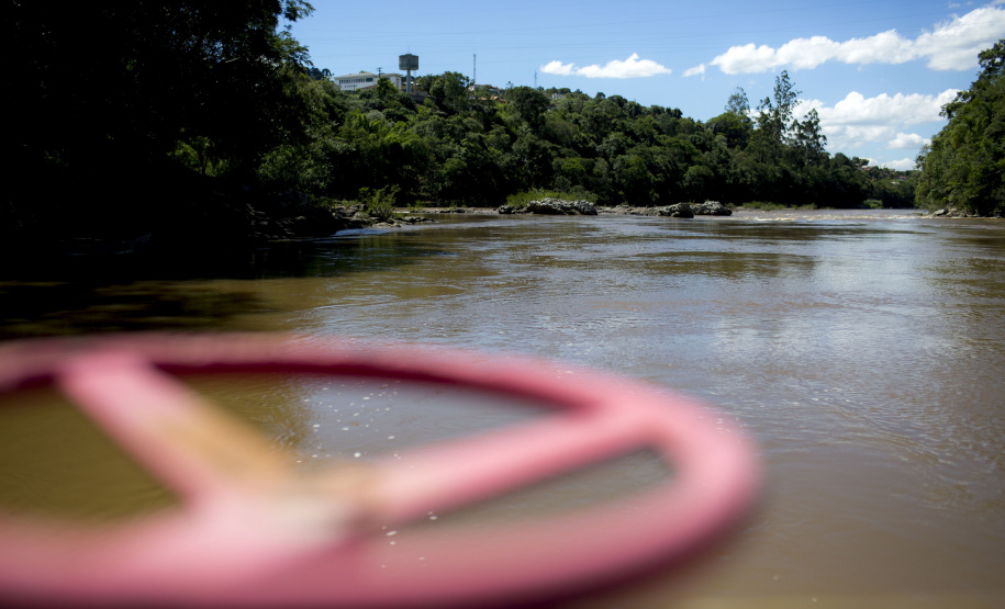 Borba, do Rio Tibagi. 05/12/2016 Foto: Brunno Covello/Arquivo Sanepar