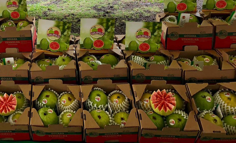 Associação de Fruticultores e Olericultores de Carlópolis - Produtores de goiaba. Na foto, Luiza Rocha Ribeiro, no stand da APC durante a ficafé. - Foto: Divulgação APC