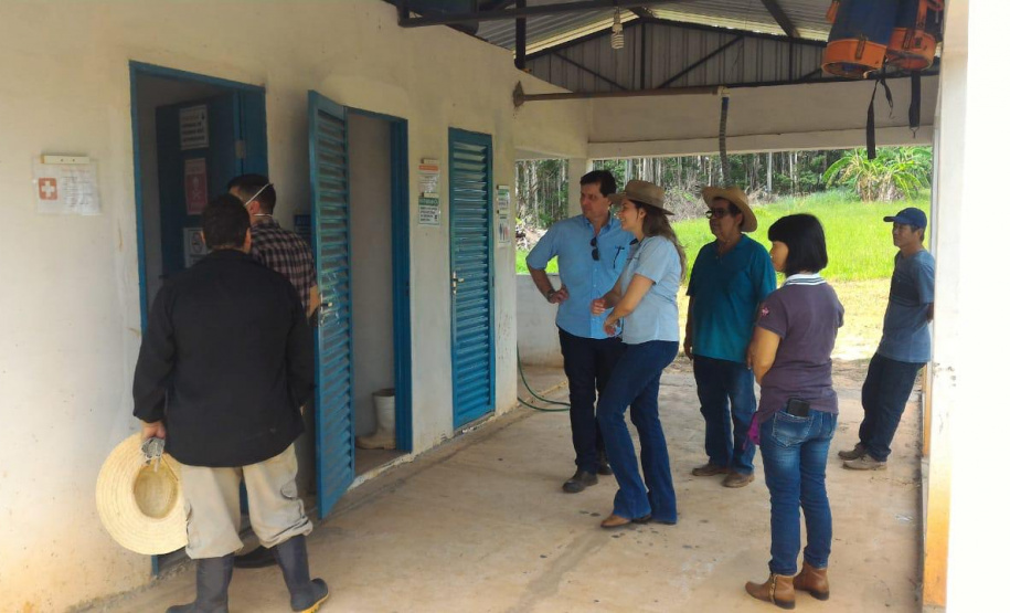 Associação de Fruticultores e Olericultores de Carlópolis - Produtores de goiaba. - Foto: