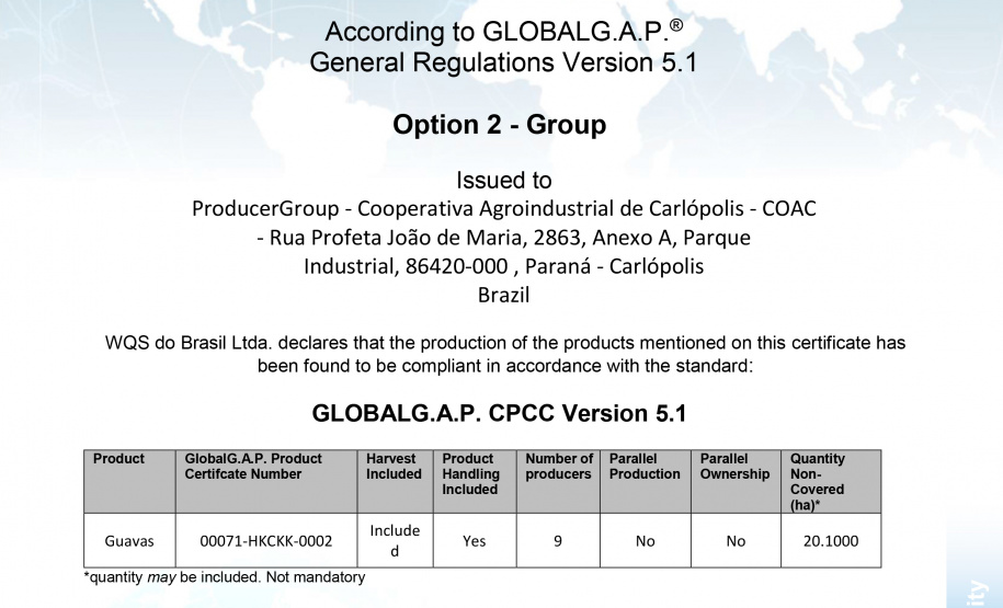 Goiaba conquista certificação internacional - Foto: Régis Santos