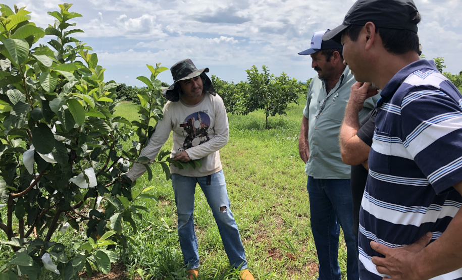 Produtor Juliano Bicudo. Foto: Luiza Rocha Ribeiro