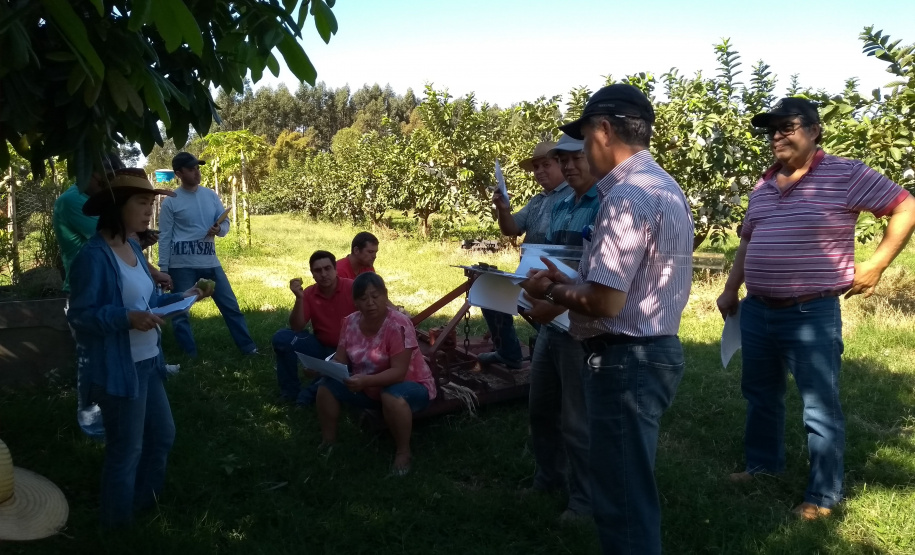 Associação de Fruticultores e Olericultores de Carlópolis - Produtores de goiaba. Treinamento sobre manejo da irrigação com o Professor Dr. Aloísio Costa Sampaio. Foto: Luiza Rocha Ribeiro