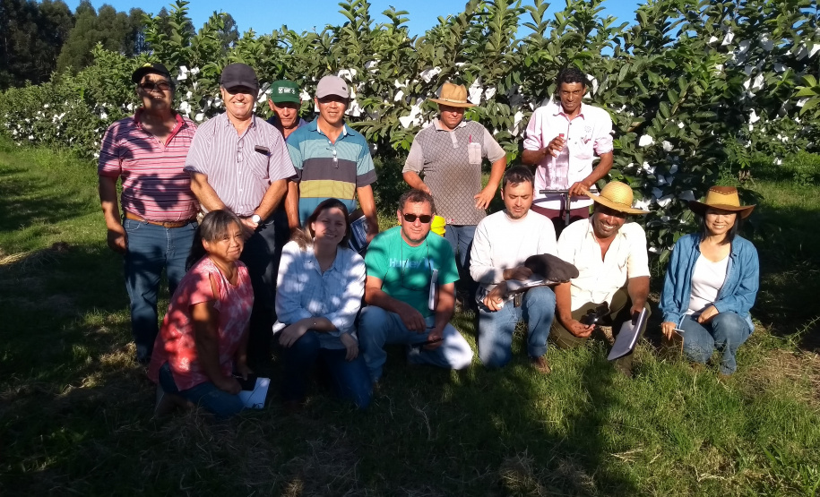 Associação de Fruticultores e Olericultores de Carlópolis - Produtores de goiaba. Na foto, Airton Capote, Prof. Aloísio Sampaio, Donizete Benedetti, Noriaki Akamatsu, Valdeci, João, Inês Sasaki, Luiza Rocha Ribeiro, Elias Benedetti, Juliano Bicudo, Reginaldo Paulo, Leiko Kawasaki. Foto: Luiza Rocha Ribeiro