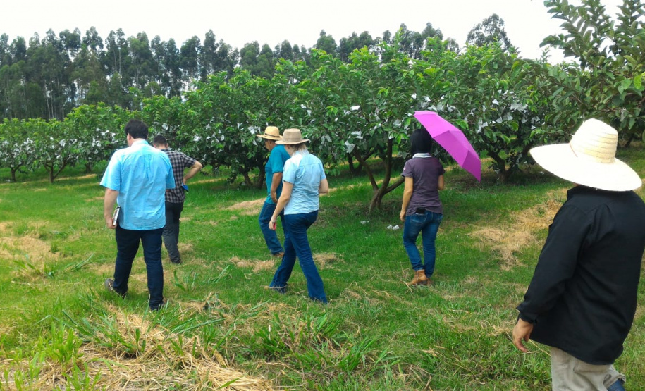 Auditoria na propriedade no produtor Airton Jose Soares Capote. - Foto: Vitor André Frana.