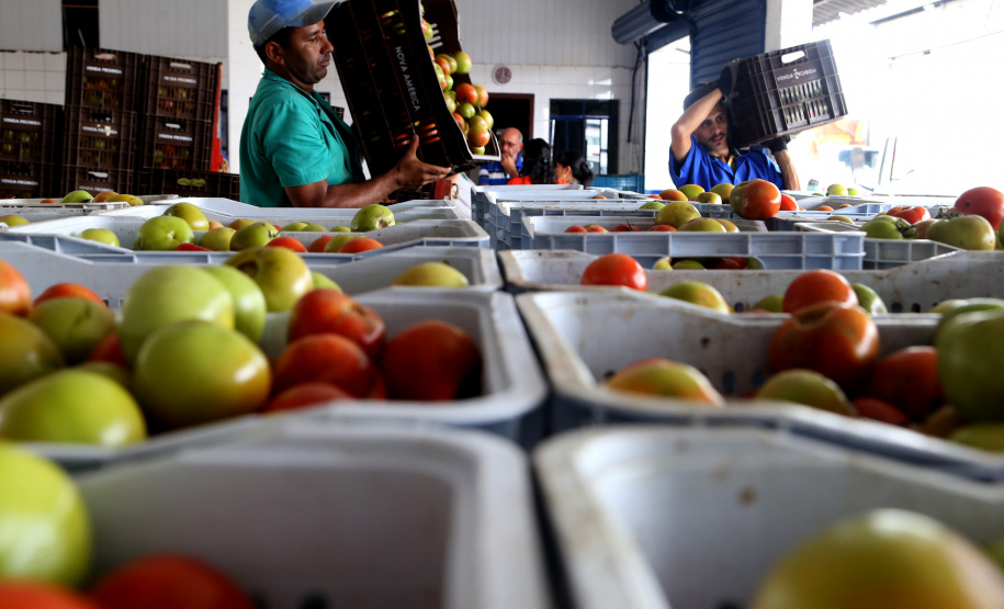 Um novo projeto desenvolvido pela Secretaria de Estado da Agricultura e do Abastecimento e Ministério da Cidadania vai colaborar para a redução do desperdício de alimentos em todo o Estado nos próximos dois anos. Serão desenvolvidas ações para reduzir as perdas e desperdícios nos diferentes elos da cadeia produtiva e de abastecimento de alimentos.  -  Ceasa - Banco de alimentos  -  Foto Gilson Abreu/ANPr