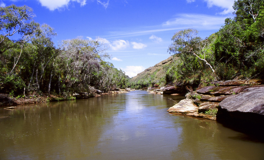 Para celebrar o Dia Mundial da Água, comemorado em 22 de março, a Secretaria de Estado do Desenvolvimento Sustentável e Turismo (SEDEST) irá promover diversas ações de conscientização, preservação e sensibilização sobre biodiversidade. - Curitiba, 20/03/2019 - Foto: Denis Ferreira Netto/Desenvolvimento Sustentável