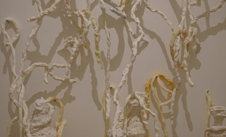 A artista paranaense Guita Soifer inaugura no Museu Oscar Niemeyer (MON) a sua exposição inédita Oferenda. -  Curitiba, 25/03/2019   -  Foto: Divulgação MON